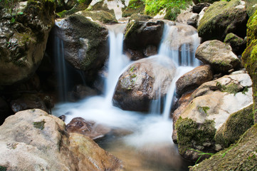 Bratimin Whirl, Montenegro