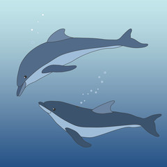 Obraz premium vector illustration with dolphins