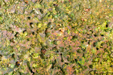 A stone tile texture