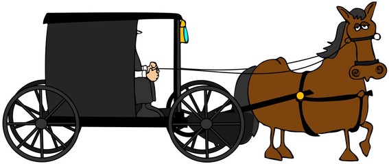 Amish Buggy