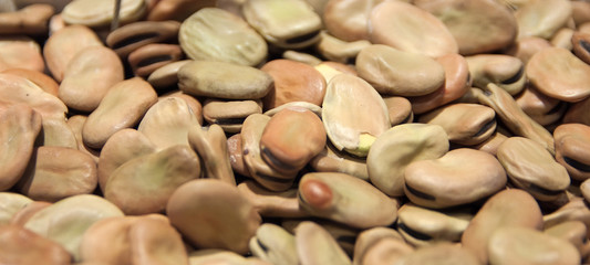 Broad beans
