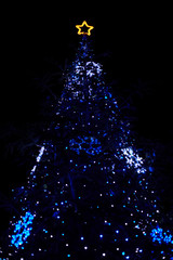 Real Christmas tree with lights