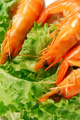 Antipasto di mazzancolle 001