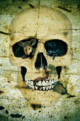 Halloween's skull