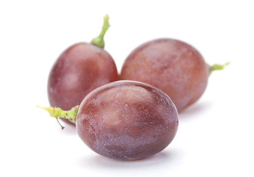 Fresh purple grape