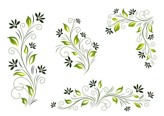 Floral background with green leaves.