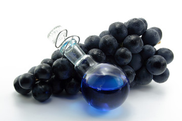 blaue trauben mit laborkolben