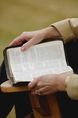 Reading The Bible