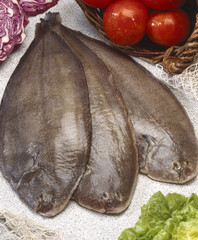 Three fresh flounders ready to cook