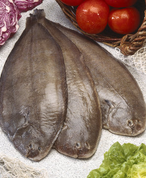 Three fresh flounders ready to cook