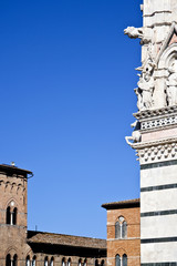 Fototapeta premium Duomo Cathedral in Siena, Tuscany, Italy