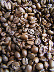 Fototapeta premium Kaffeebohnen