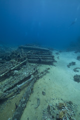 cargo of the Yolanda wreck