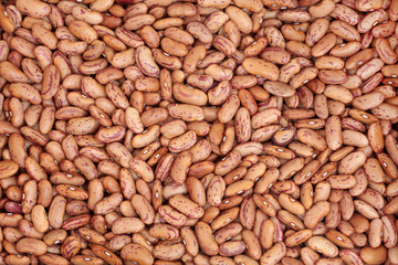 Pinto Beans