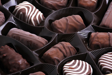 Delicious chocolate pralines