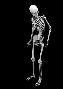 standing skeleton