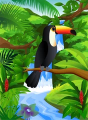 Papier Peint photo autocollant Animaux de la forêt oiseau toucan