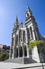 Obraz premium Lateral de la Catedral