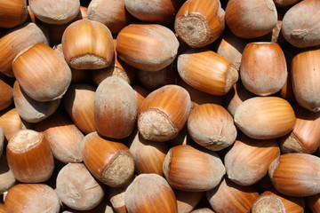 Nuts