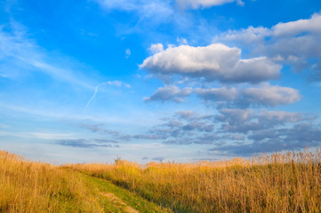 The road to the field