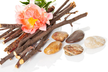 Blume auf Scheiterhaufen