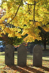 Cemetery in Fall XI