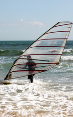 Windsurfer