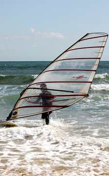 Windsurfer
