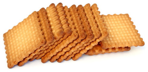 petits biscuits secs