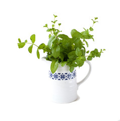 vase with peppermint