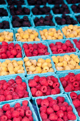 Fresh Berries in Market