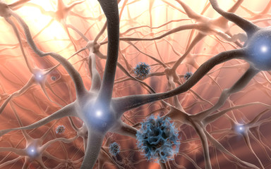 viren und nervenzellen 2