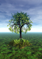 3d landscape with lonely tree