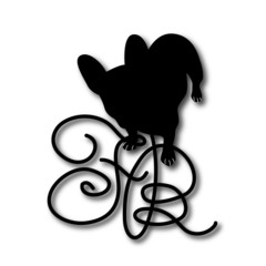 犬　フレンチブルドッグ