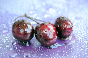 Ягоды черешни в каплях воды