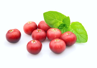 Peppermint with cranberry