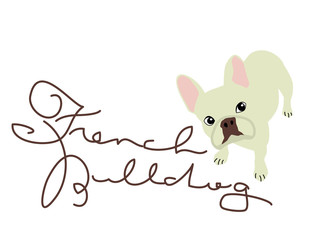犬　フレンチブルドッグ