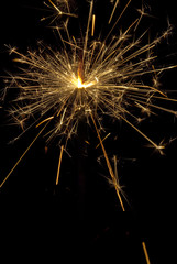 Obraz premium sparkler on black