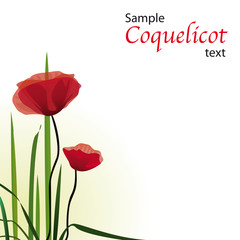 Carte de voeux, coquelicots, vecteur