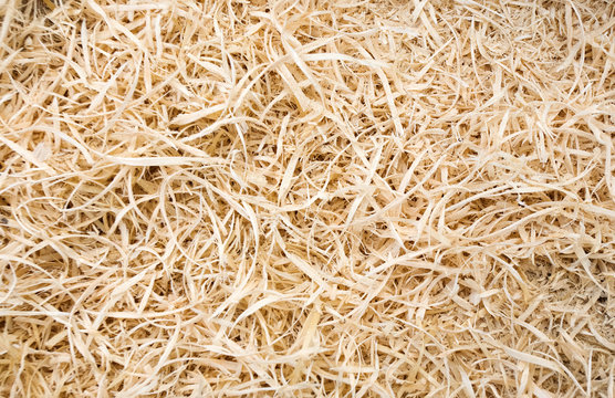 sawdust
