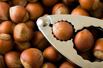 nutcrackers with nuts