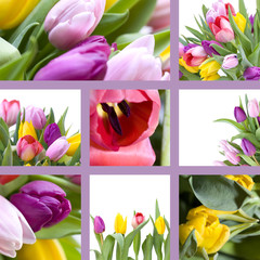 Tulips collage