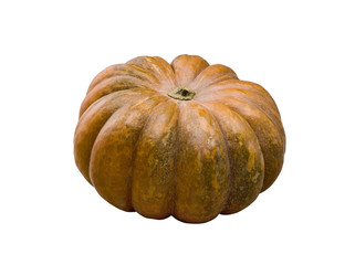 Pumpkin isolated on white (clipping path)