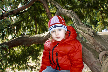 The boy on a tree