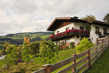 Typical Austrian architecture