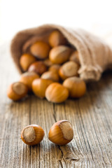 Hazelnuts