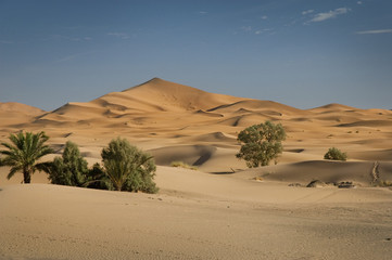 Oase in der W&uuml;ste, Marokko, Sahara