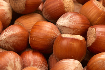 Hazelnuts