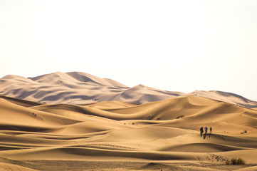 In der Wüste, Marokko, Sahara