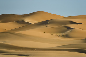 Fototapeta na wymiar In der Wüste, Marokko, Sahara